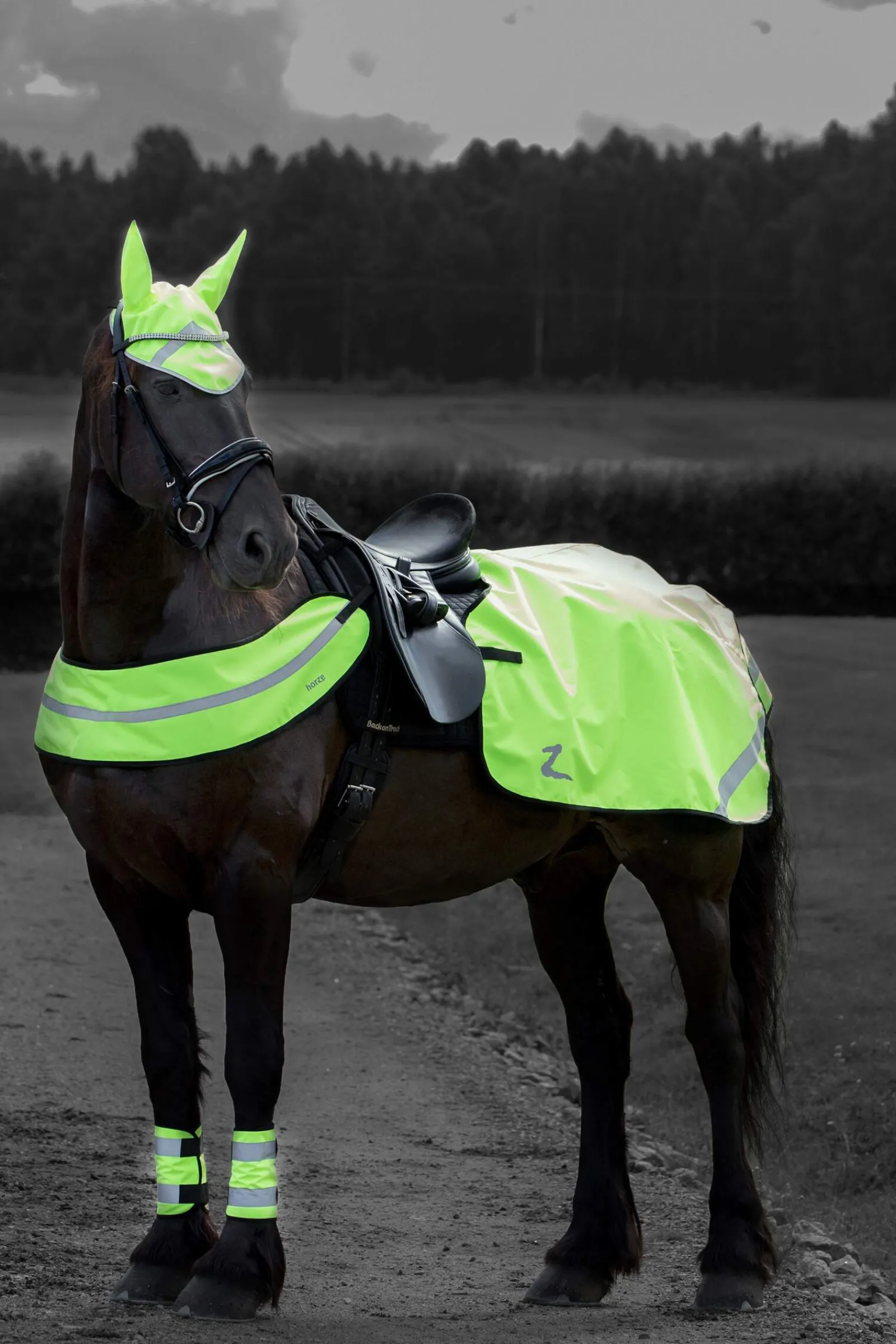 Fashion Reflective Riding Blanket Hi Viz Horse Wear|Hi Viz Horse Wear