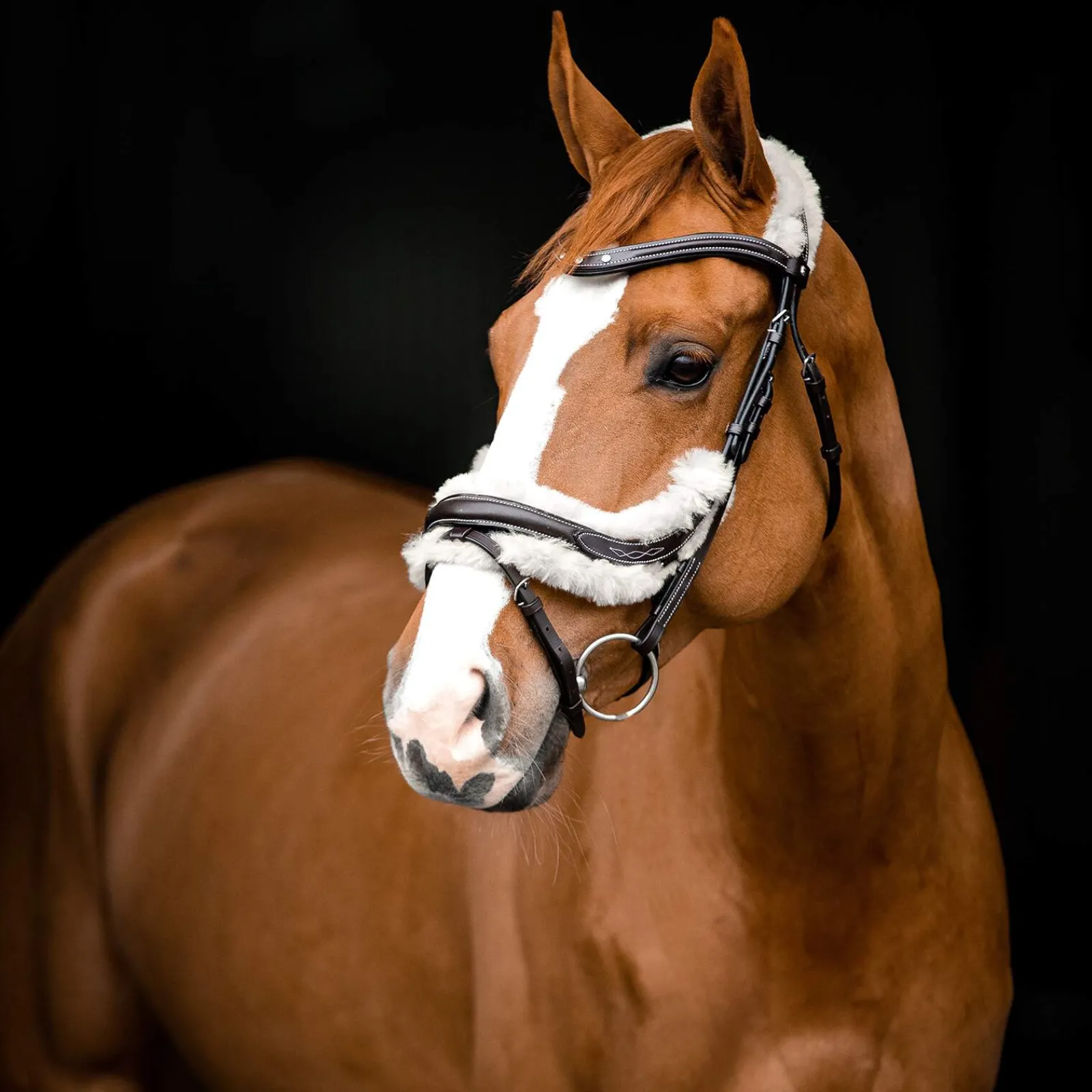 Best Rome Anatomic Snaffle Bridle Bridles & Nosebands