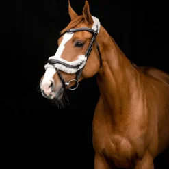 Best Rome Anatomic Snaffle Bridle Bridles & Nosebands