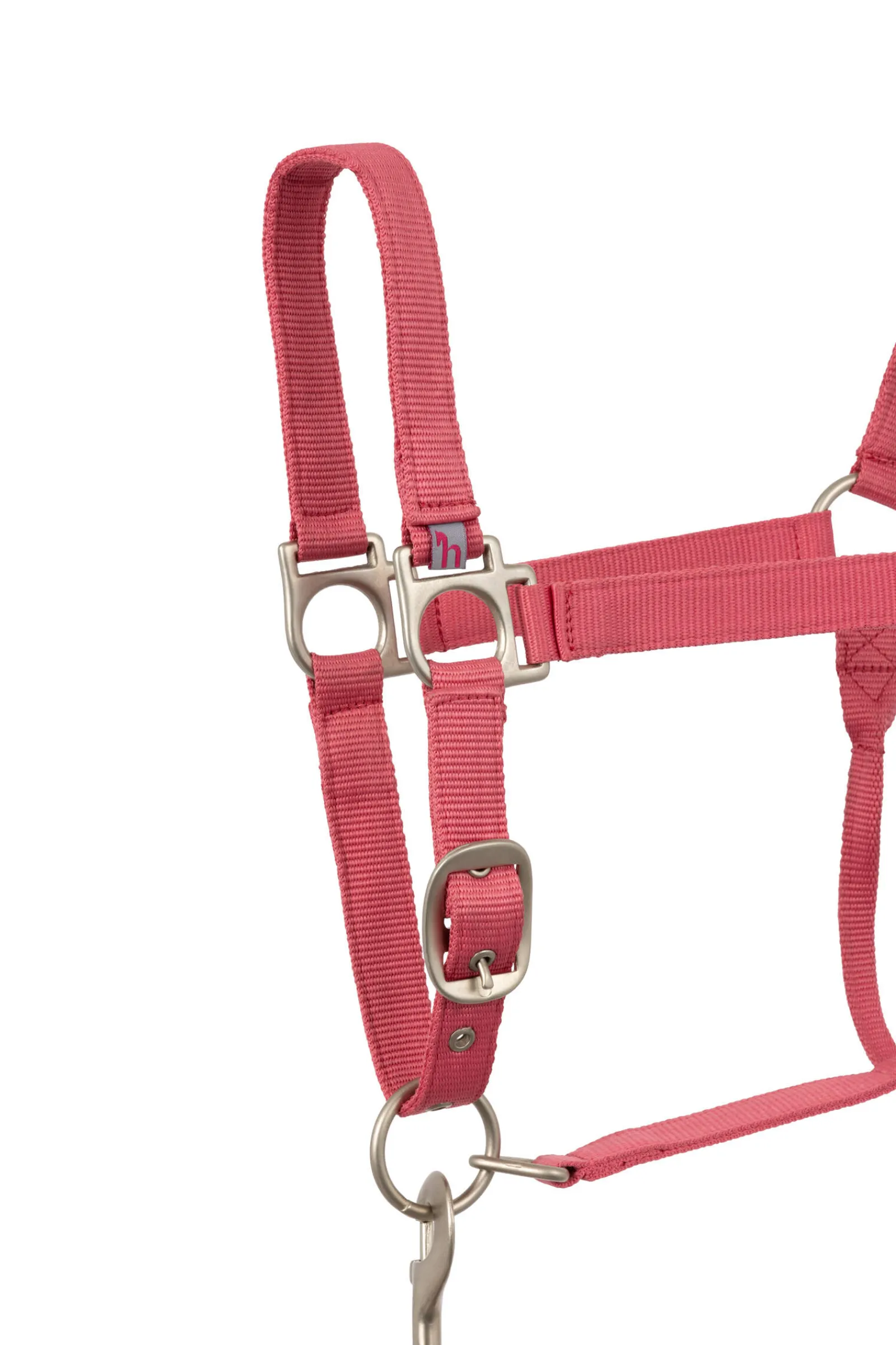 Clearance Rose Tonique Halter Headcollars & Halters