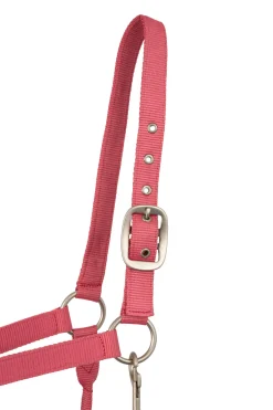 Clearance Rose Tonique Halter Headcollars & Halters