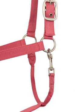 Clearance Rose Tonique Halter Headcollars & Halters