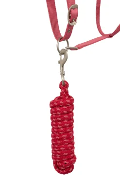 Clearance Rose Tonique Halter Headcollars & Halters
