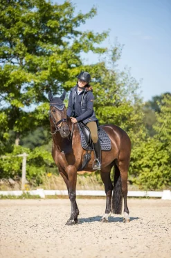 Online Sandnes Dressage Saddle Pad Dressage Saddle Pads
