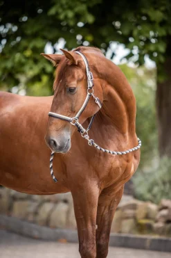 Best Sandnes Halter & Lead Set Headcollars & Halters