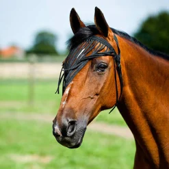 Hot Simple Fly Fringe  Veil Fly Masks & Fringes|Fly Masks & Fringes