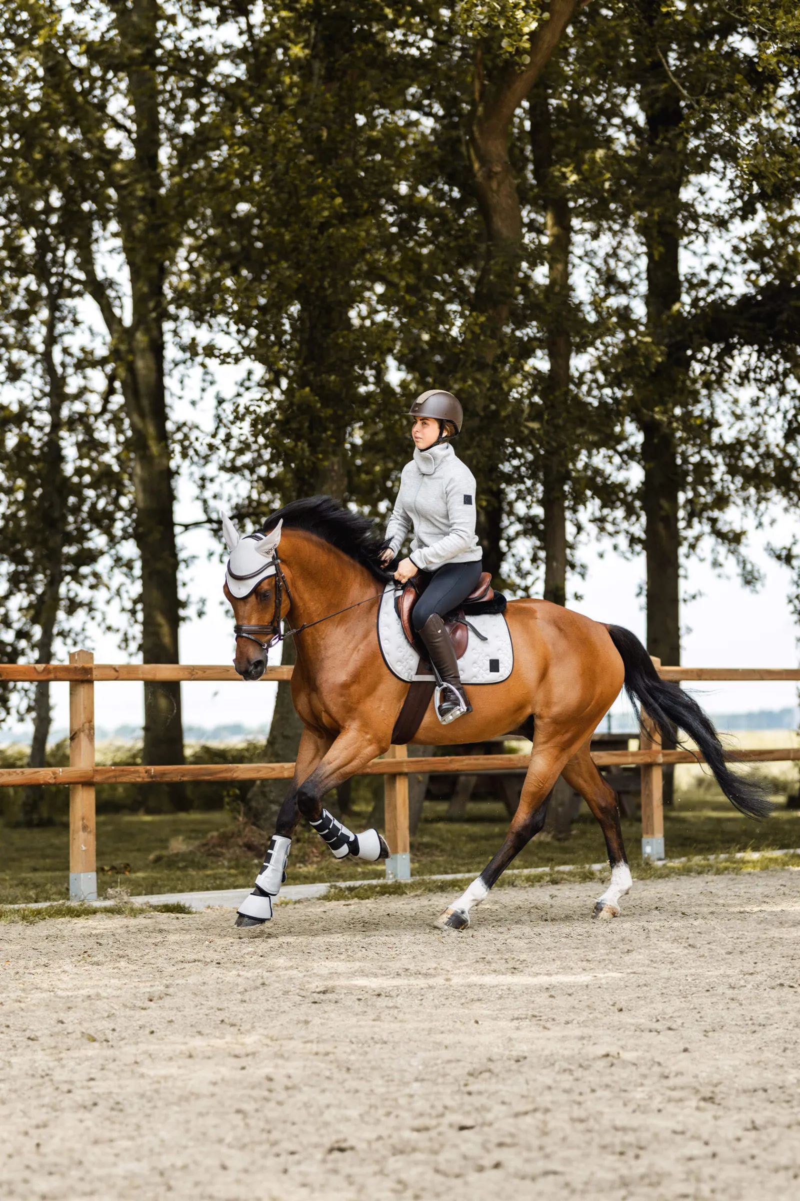 Online Smoky Twilight Jumping Saddle Pad Pony Saddle Pads|All Purpose & Jumping Saddle Pads