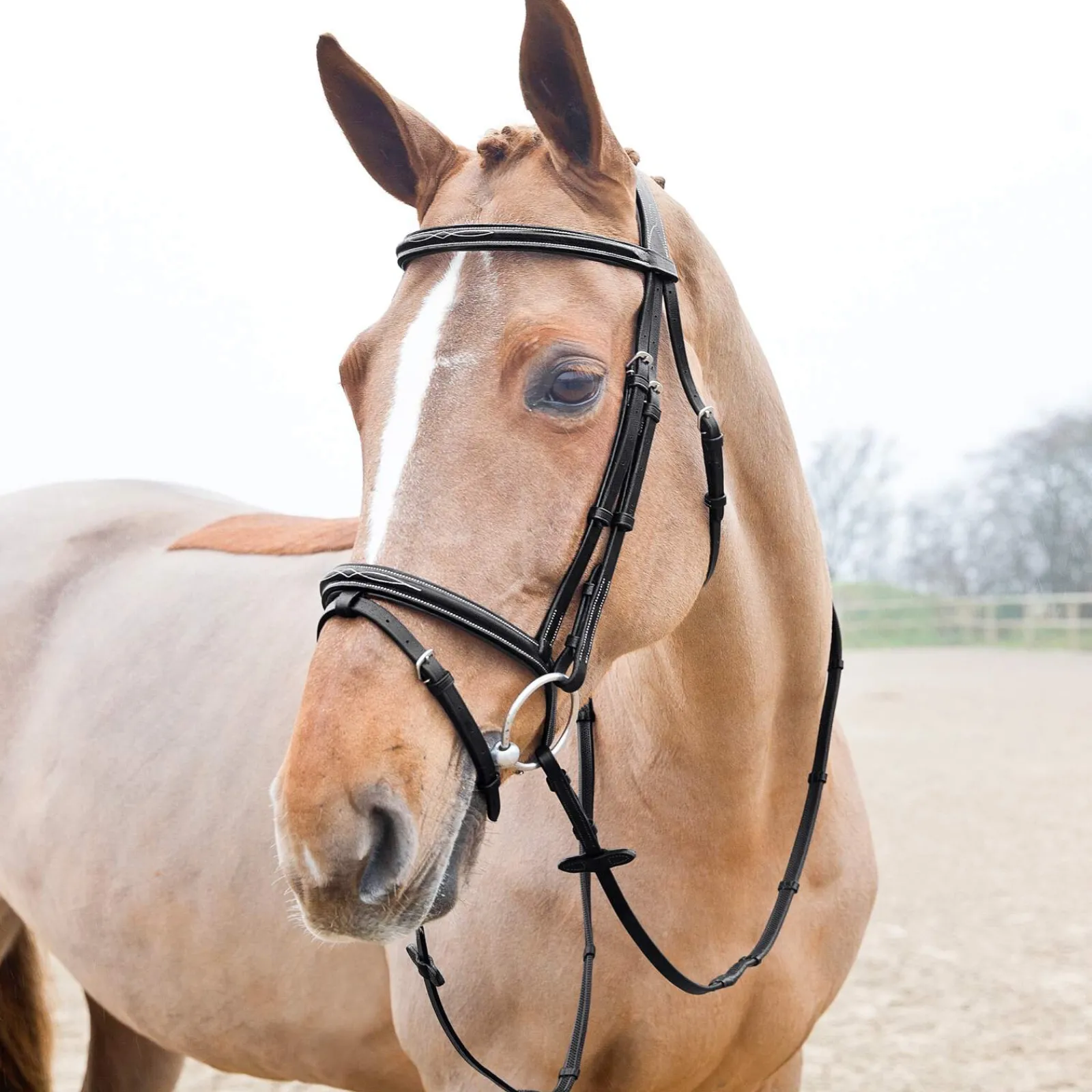 Outlet Soft Grip Rubber Reins w/stoppers Reins