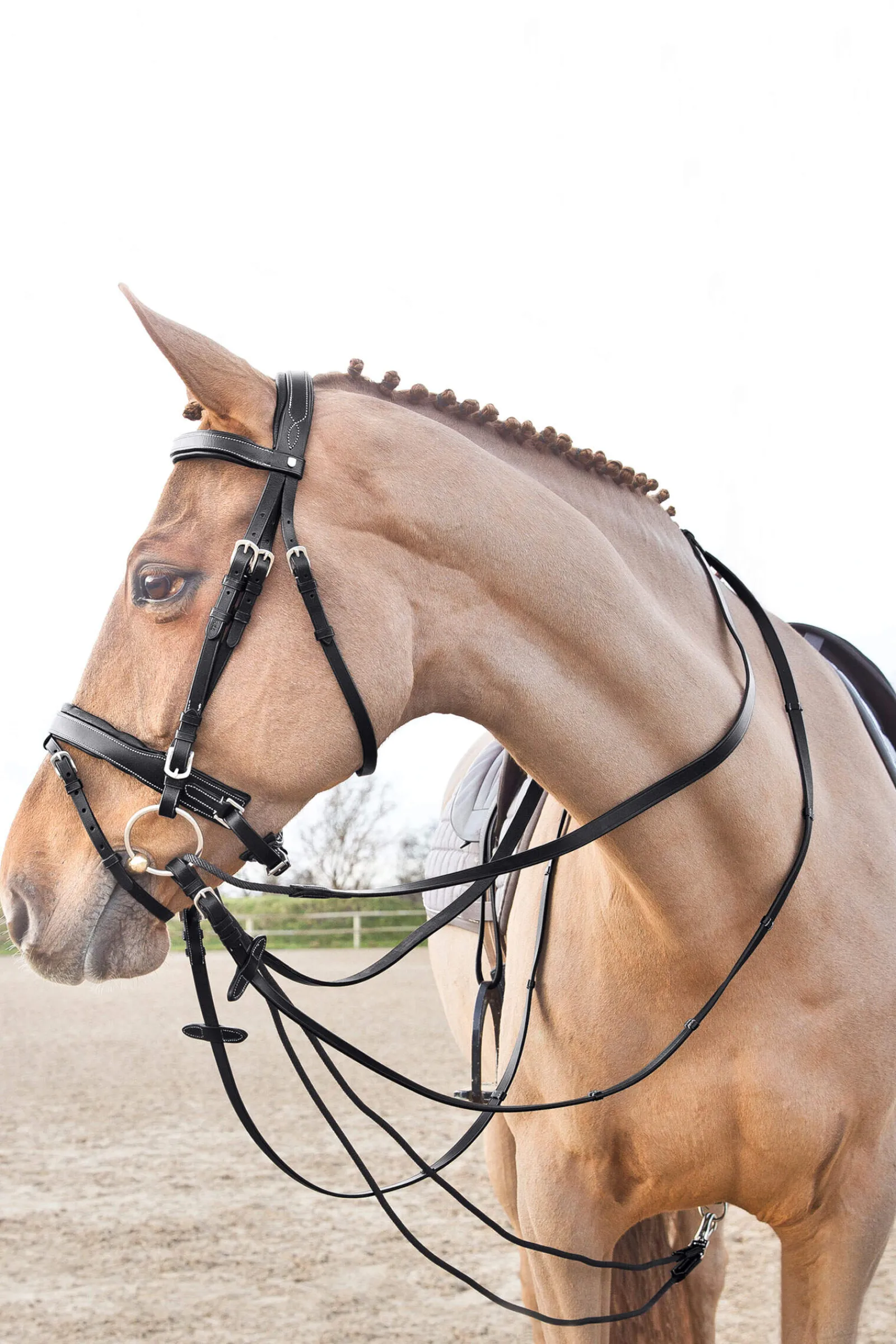 New Sparta Nylon/Leather Draw Reins Auxiliary Reins & Lunging Aids|Auxiliary Reins & Lunging Aids