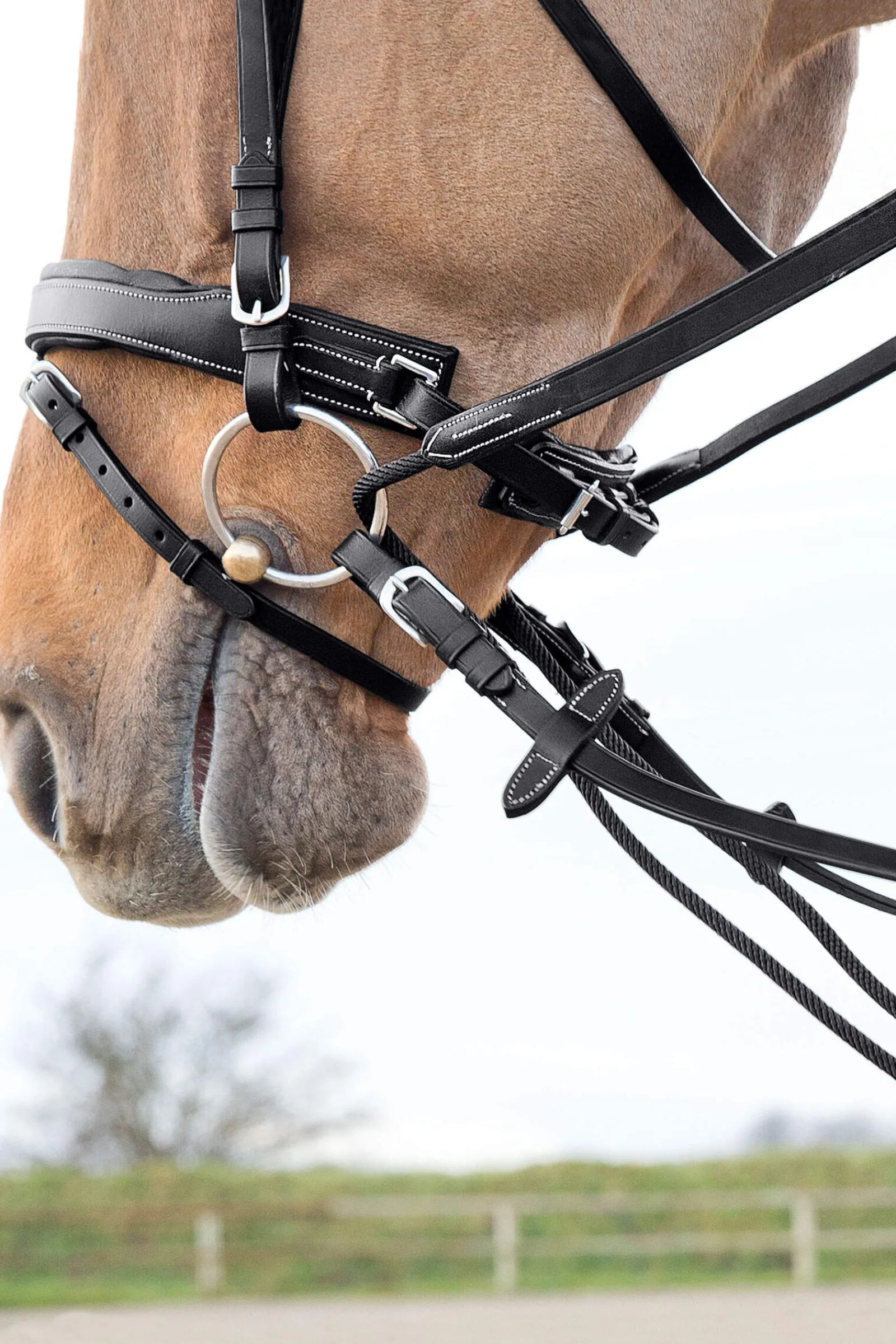 New Sparta Nylon/Leather Draw Reins Auxiliary Reins & Lunging Aids|Auxiliary Reins & Lunging Aids