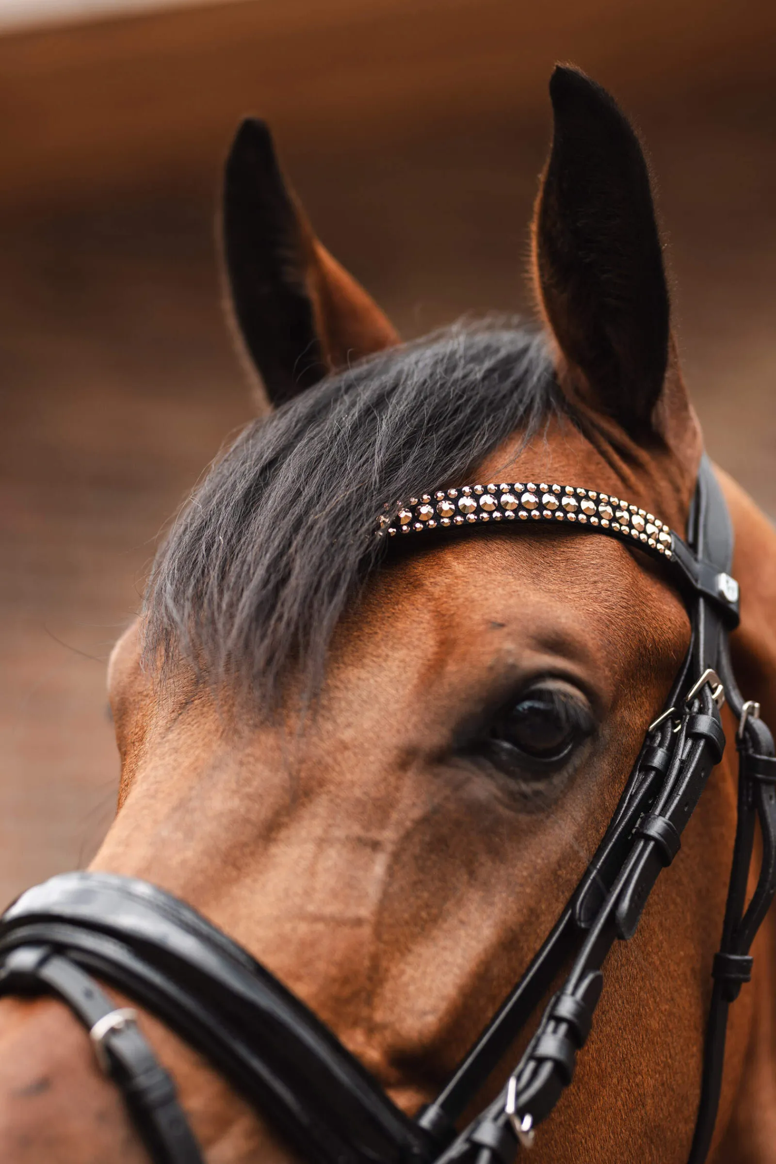 Best St. Moritz Browband Browbands