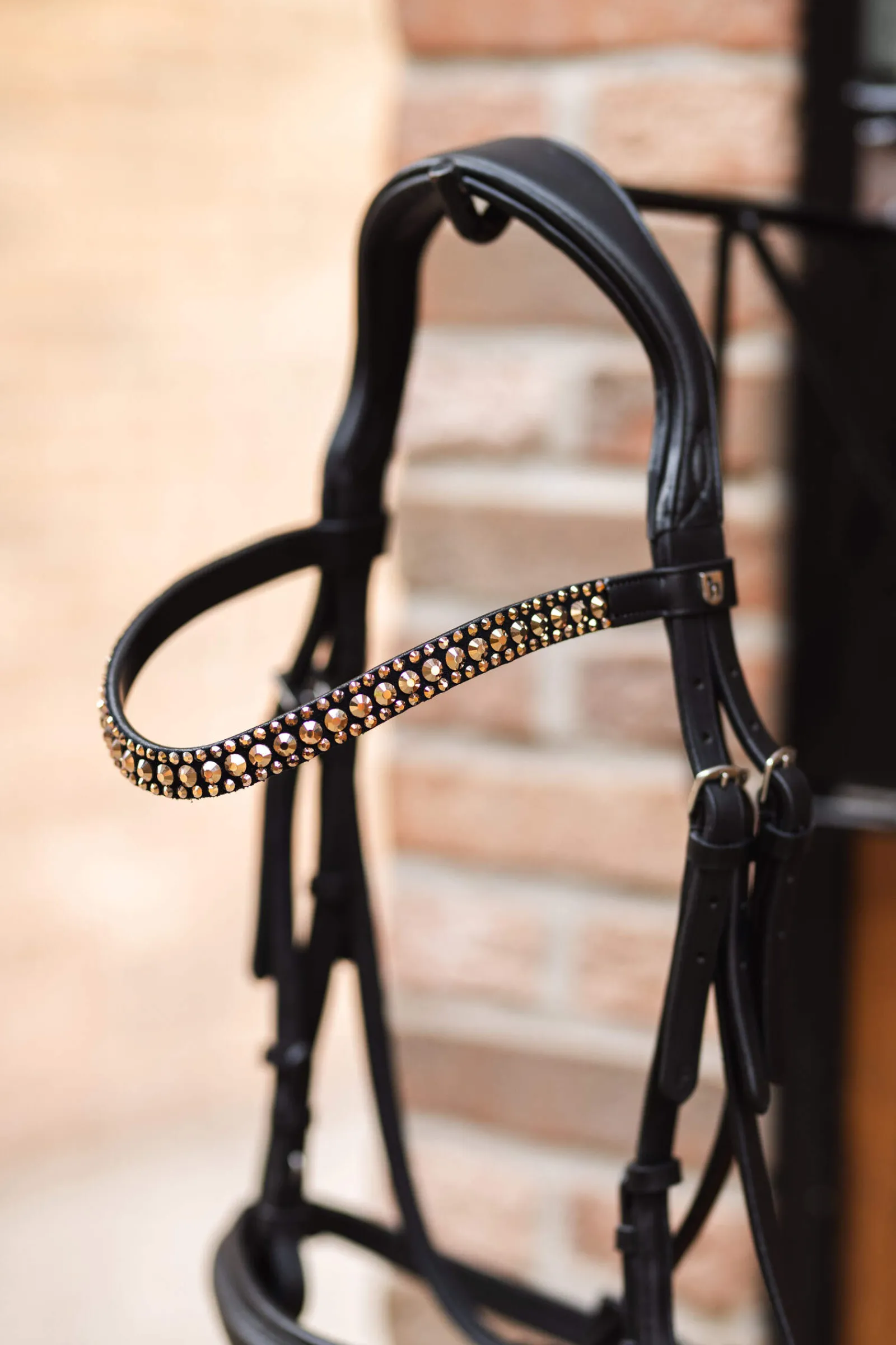 Best St. Moritz Browband Browbands