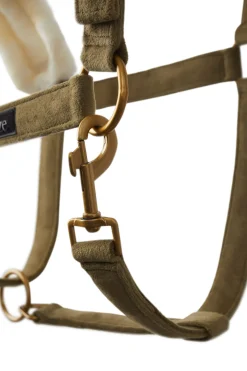 Best St. Moritz Halter Headcollars & Halters