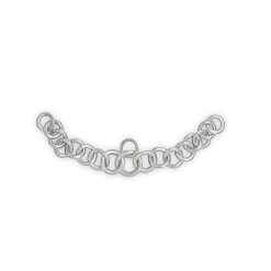 Clearance Stainless Steel Chin Chain Bit Accessories