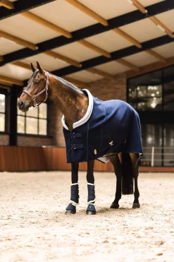 Outlet Terrazzo Double Bonded Fleece Cooler Fleece Horse Rugs & Cooler Rugs