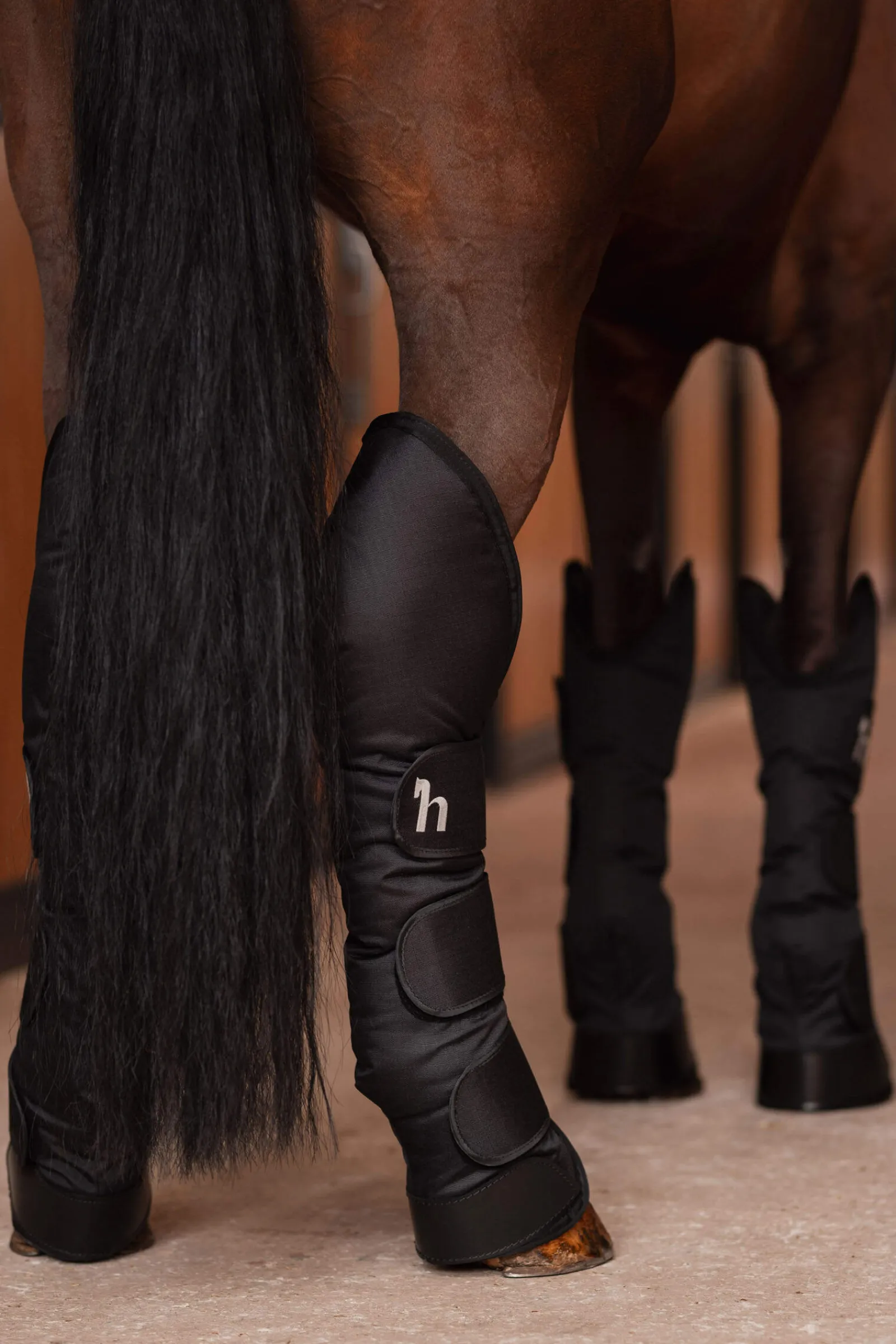 Sale Transport Boots Horse Boots