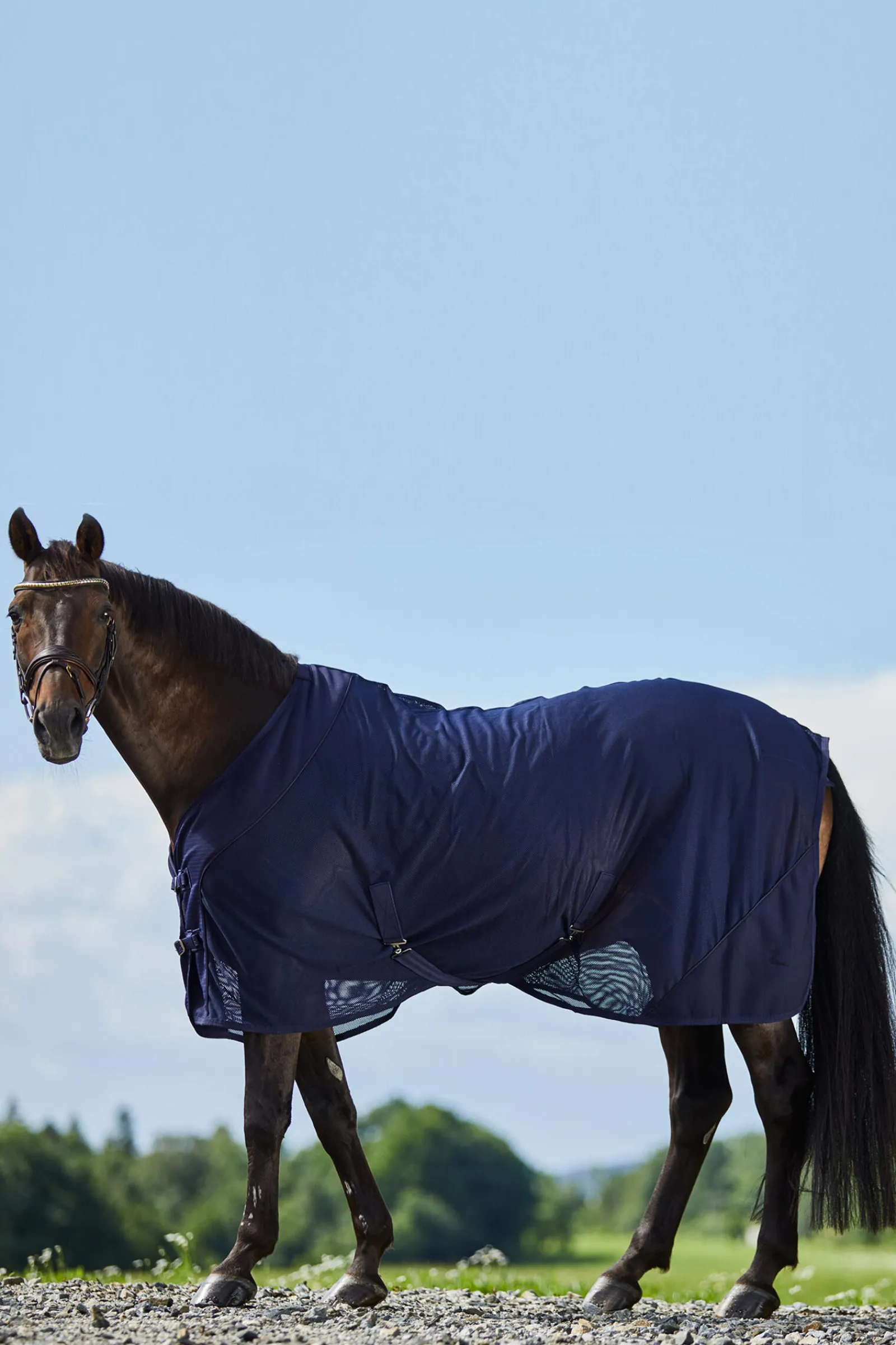 New Turin Mesh Cooler Rug Fleece Horse Rugs & Cooler Rugs