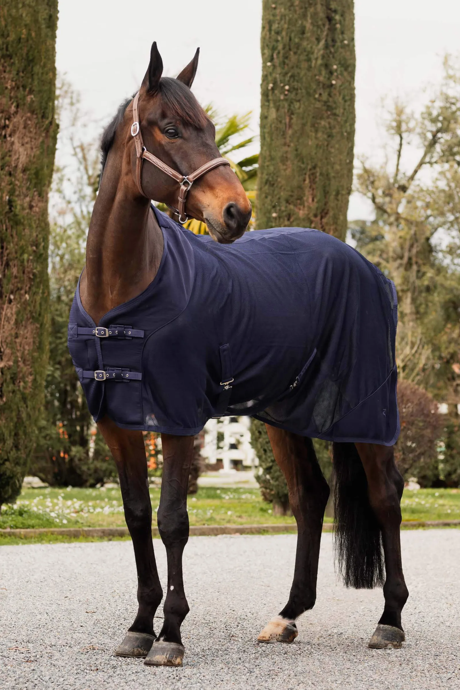 New Turin Mesh Cooler Rug Fleece Horse Rugs & Cooler Rugs