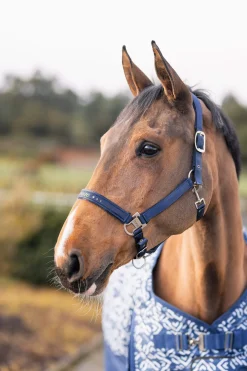 New Urban Vitality Halter Headcollars & Halters