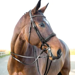 Hot Vienna Anatomic Weymouth Bridle Bridles & Nosebands