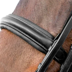 Hot Vienna Anatomic Weymouth Bridle Bridles & Nosebands