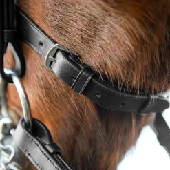 Hot Vienna Anatomic Weymouth Bridle Bridles & Nosebands