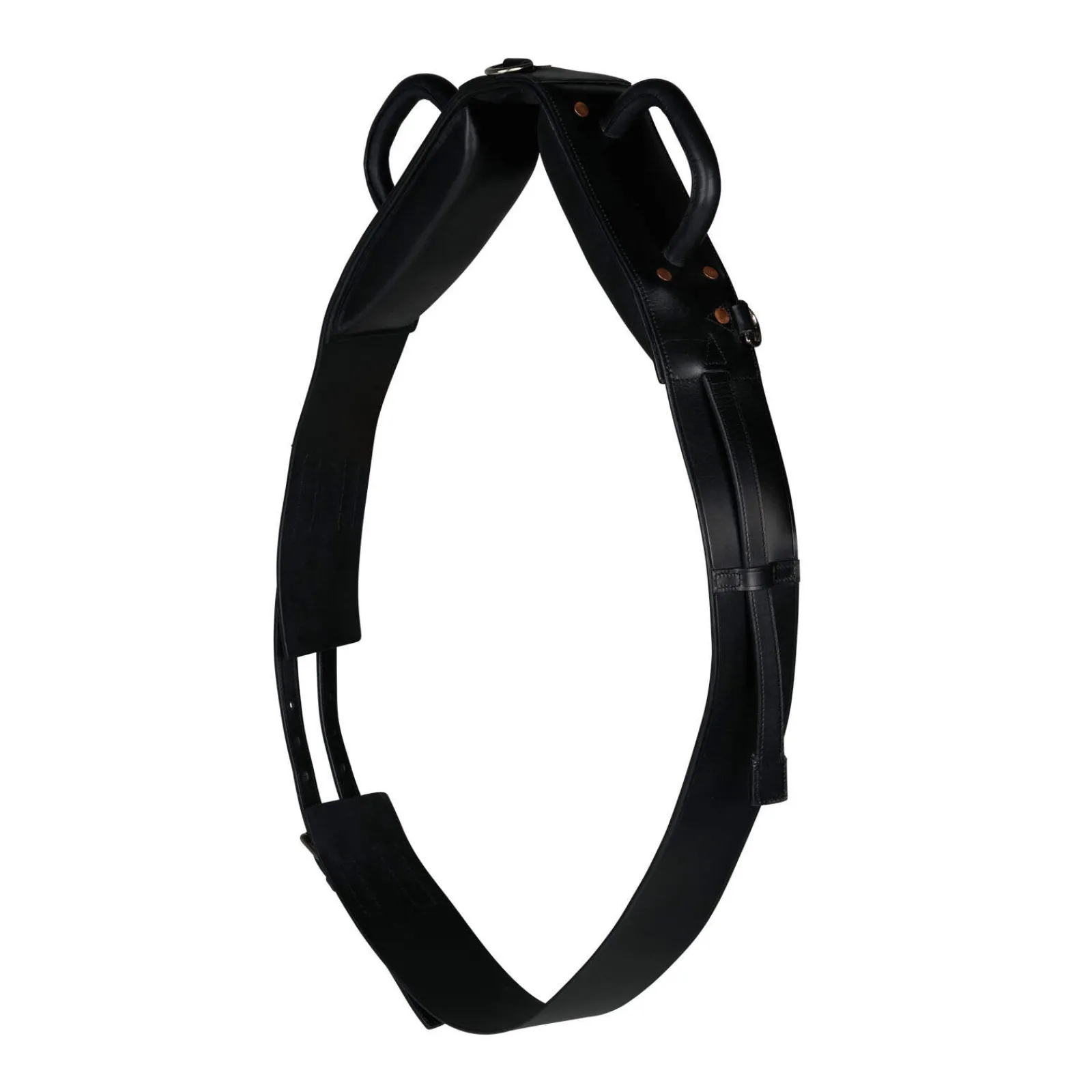 Fashion Voltige Girth Lunge Lines & Lunging Ropes|Lunge Lines & Lunging Ropes