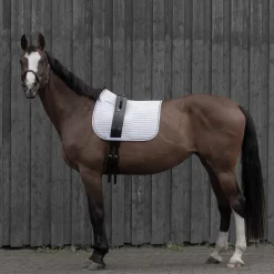 Fashion Voltige Girth Lunge Lines & Lunging Ropes|Lunge Lines & Lunging Ropes