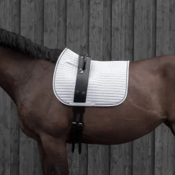 Fashion Voltige Girth Lunge Lines & Lunging Ropes|Lunge Lines & Lunging Ropes