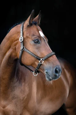 Discount Warren Soft Leather Halter Leather Headcollars