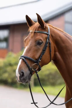 Best Weston Bridle Pony Bridles & Halters|Bridles & Nosebands