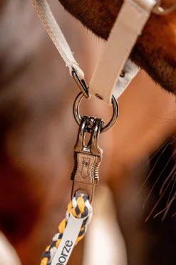 Outlet Wicklow Lead with Panic Hook Lead Ropes