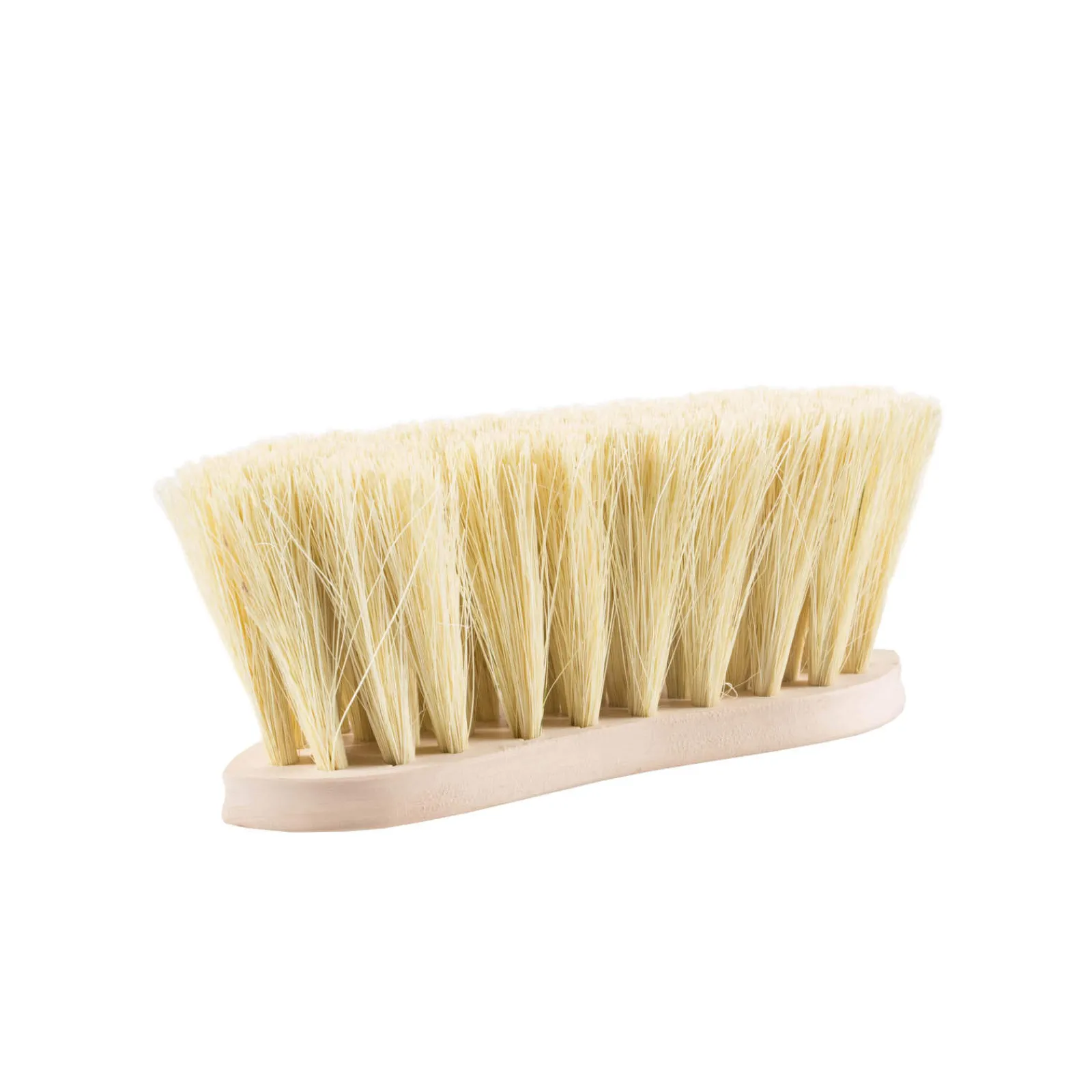Best Wood Back Firm Brush w/natural bristles, 8cm Brushes & Curry Combs