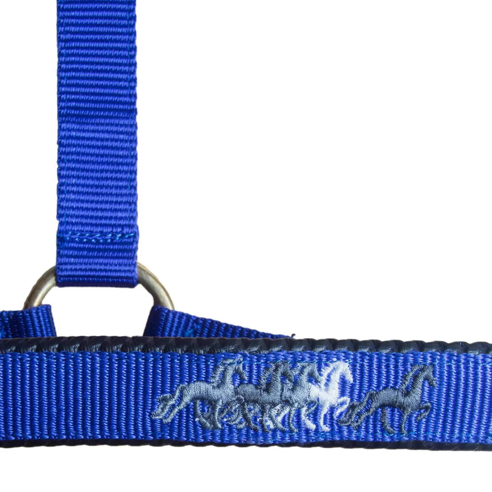 Best Nylon halter Headcollars & Halters