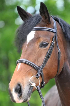New Akila Hunter Bridle Pony Bridles & Halters|Bridles & Nosebands