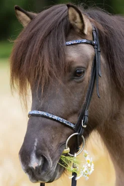 Online Blár Combined Noseband for Kjartan Icelandic Bridle Bridles & Nosebands