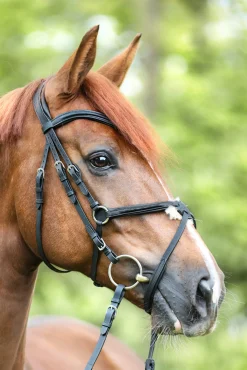 Sale Bridle Everado mexican nb. Bridles & Nosebands