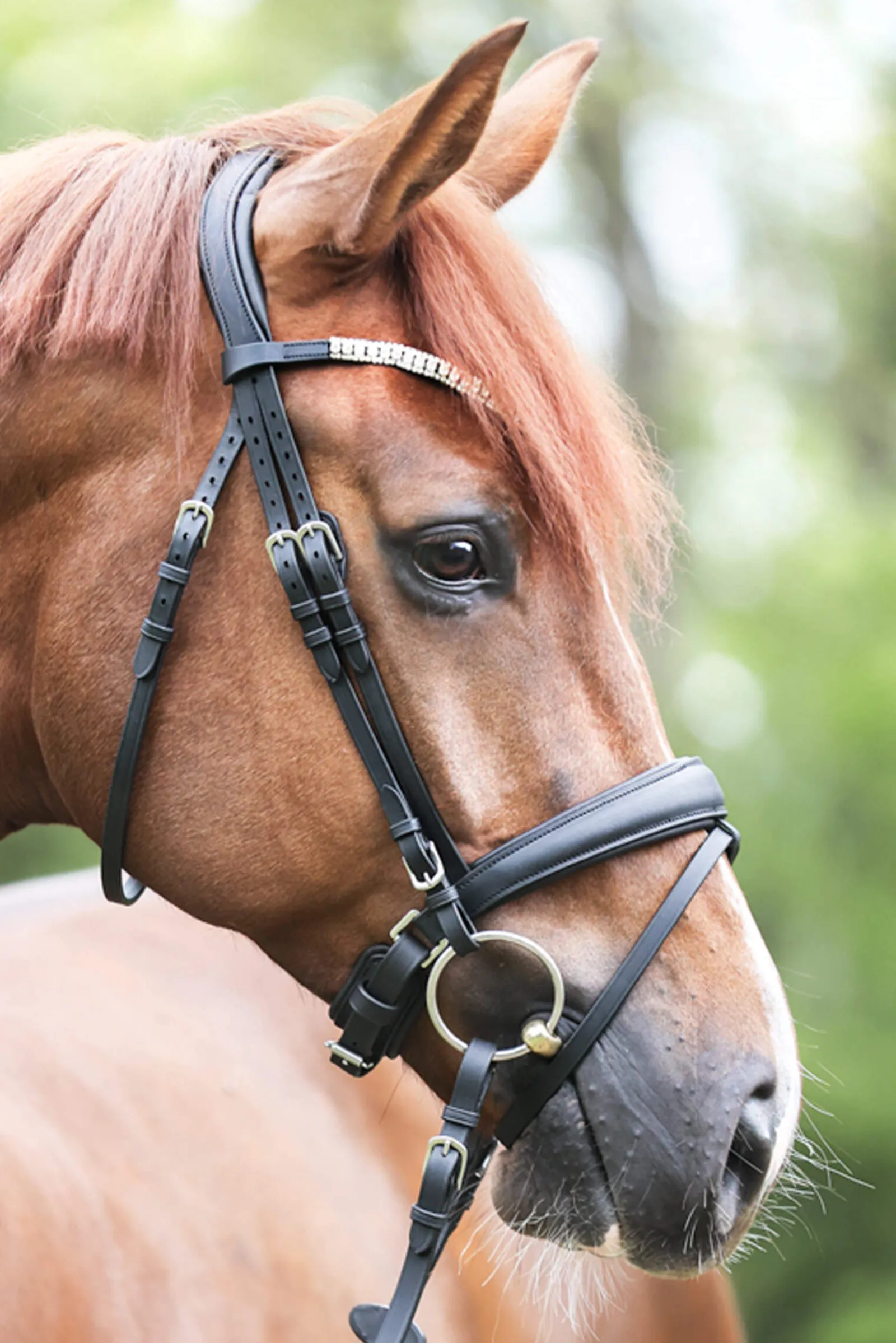 Outlet Bridle Everlyn crank nb-flash Bridles & Nosebands