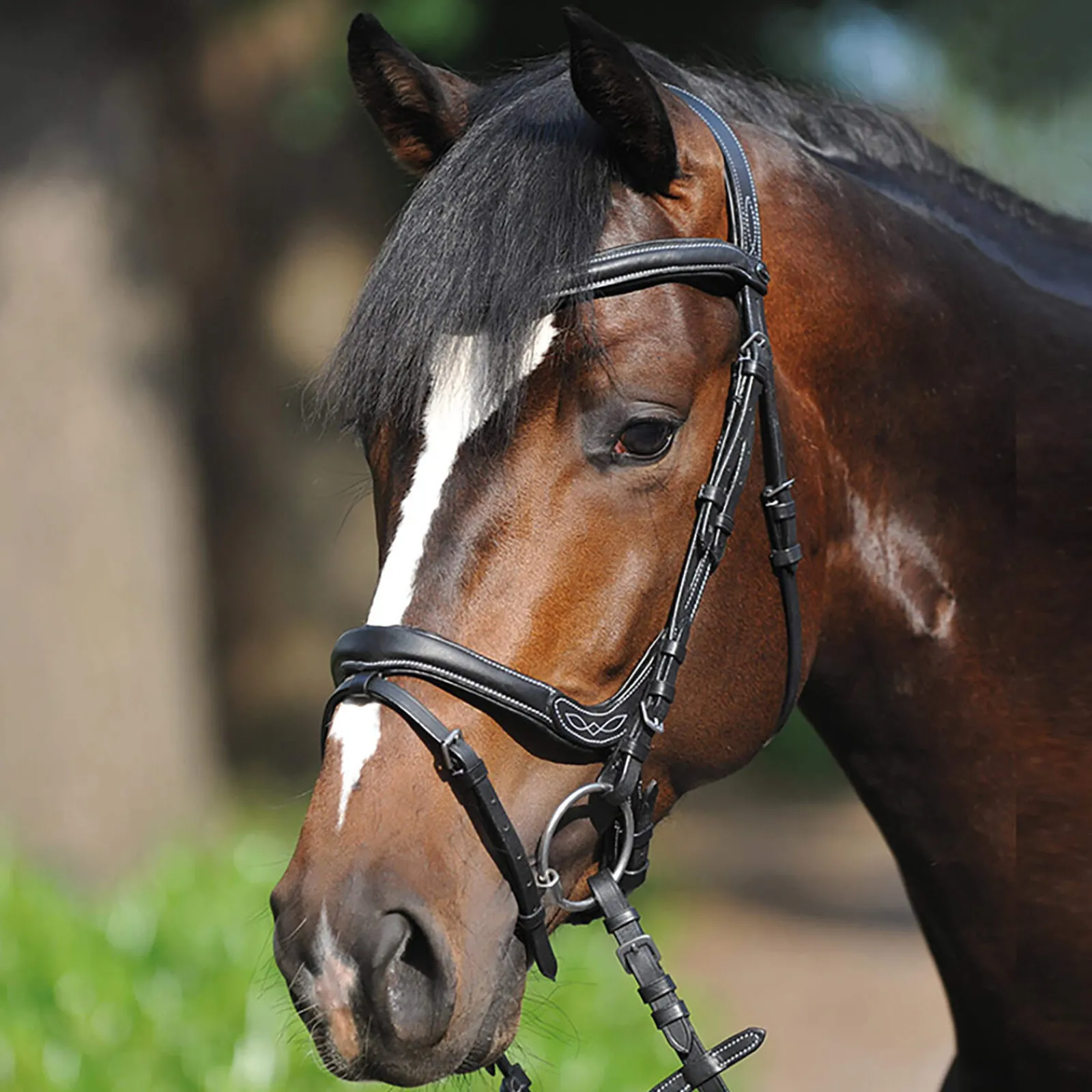 Best Bridle Ivy, noseband w/ flash Pony Bridles & Halters|Bridles & Nosebands