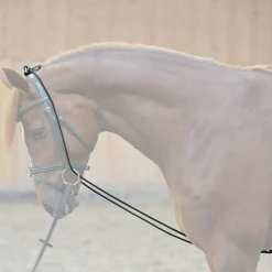 Online Bungie, elastic Lunge Lines & Lunging Ropes|Lunge Lines & Lunging Ropes