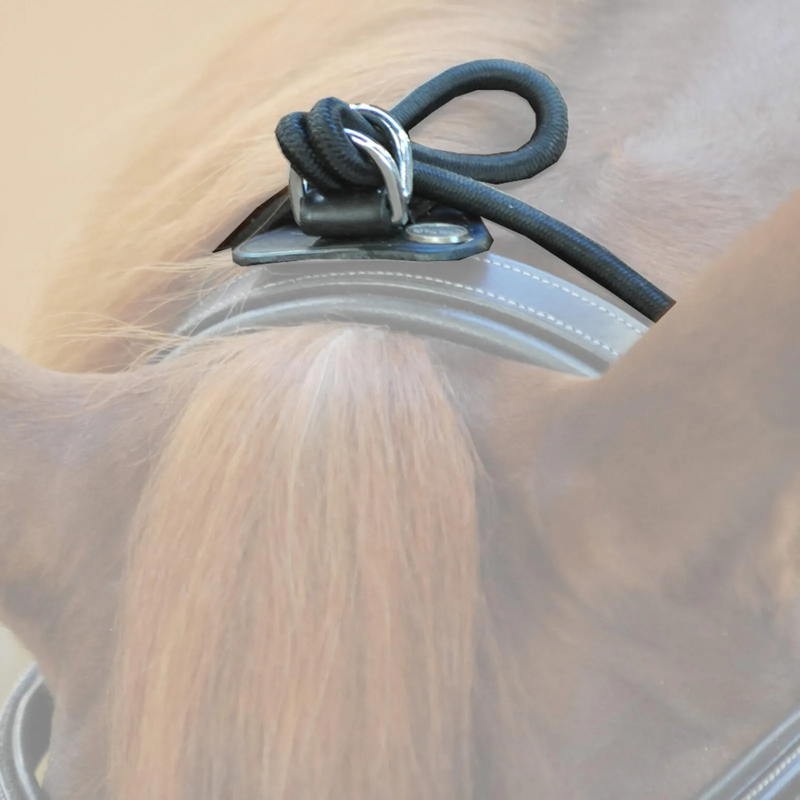 Online Bungie, elastic Lunge Lines & Lunging Ropes|Lunge Lines & Lunging Ropes