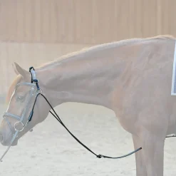 Outlet Chambon Lunge Lines & Lunging Ropes|Lunge Lines & Lunging Ropes