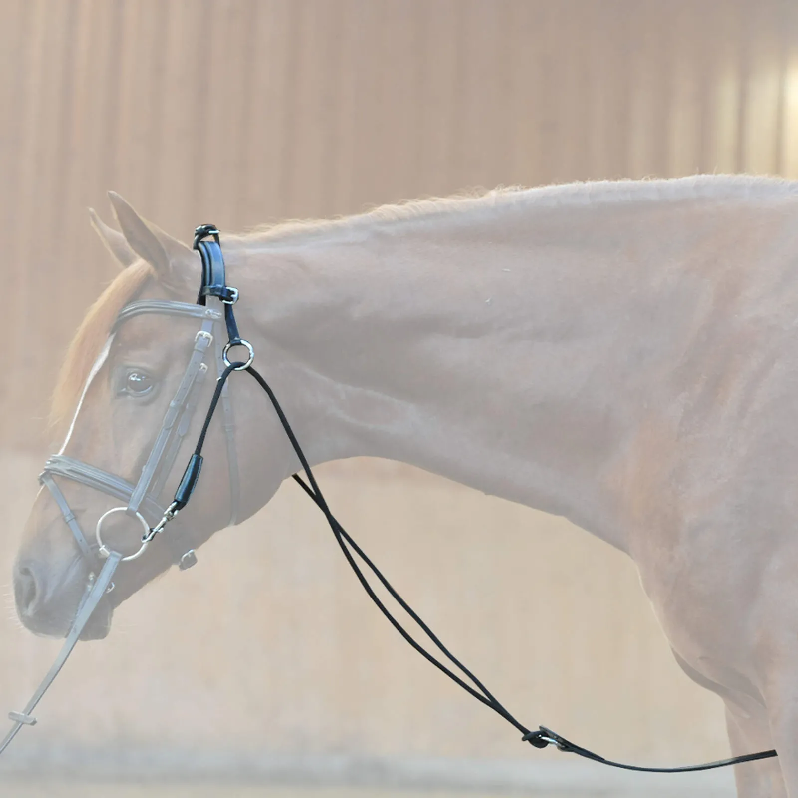Outlet Chambon Lunge Lines & Lunging Ropes|Lunge Lines & Lunging Ropes