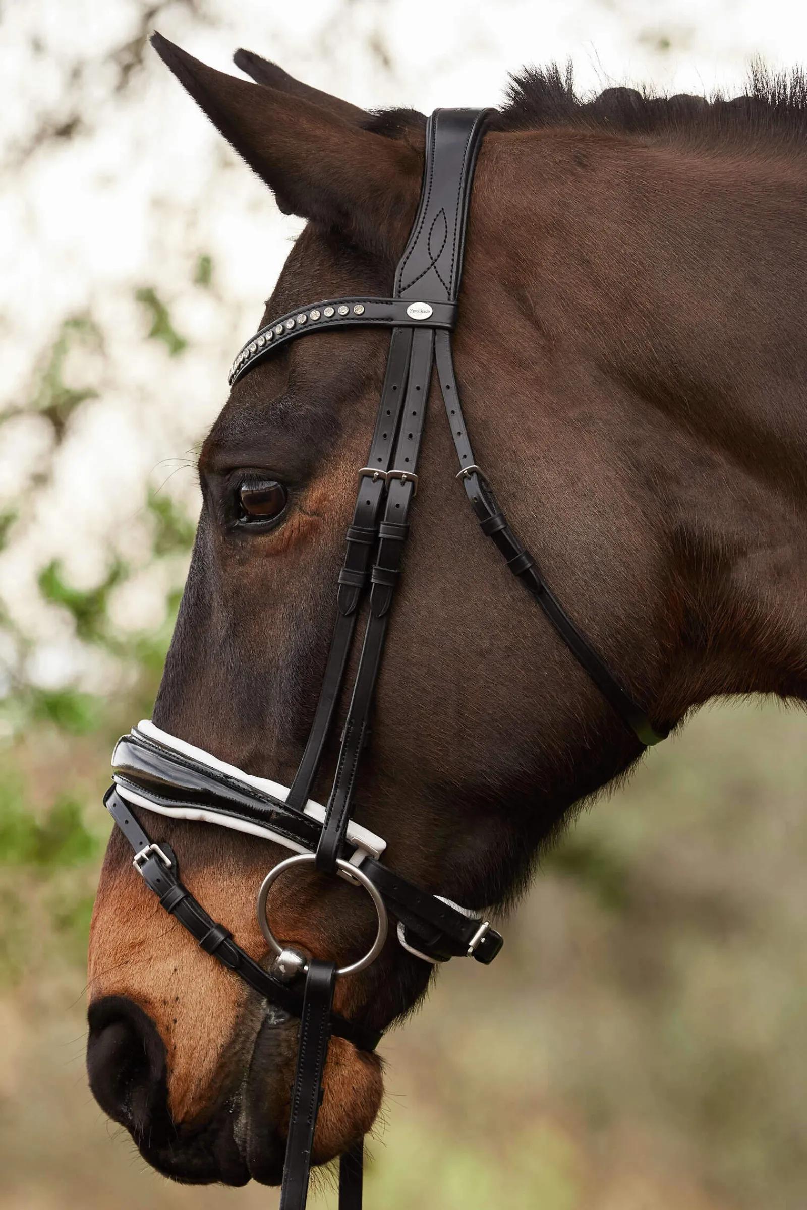 Hot Charlotte Dressage Bridle Crank Noseband Pony Bridles & Halters|Bridles & Nosebands