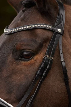 Hot Charlotte Dressage Bridle Crank Noseband Pony Bridles & Halters|Bridles & Nosebands
