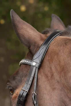 Hot Charlotte Dressage Bridle Crank Noseband Pony Bridles & Halters|Bridles & Nosebands