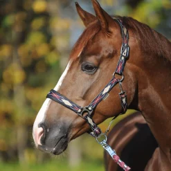 Fashion Classic Raute Halter Headcollars & Halters