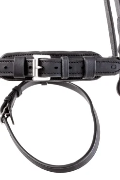 Sale Everness Bridle Pony Bridles & Halters|Bridles & Nosebands