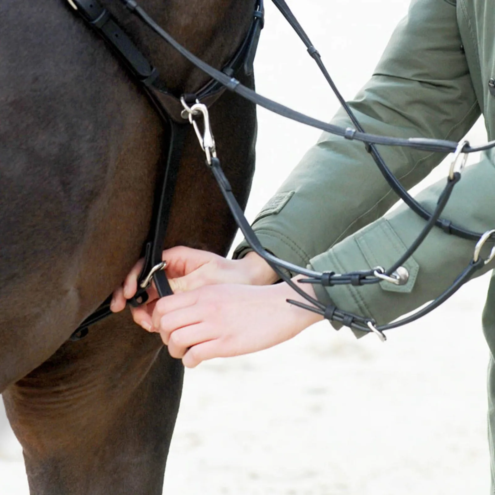 Best EveryDay Breastplate Auxiliary Reins & Lunging Aids|Auxiliary Reins & Lunging Aids