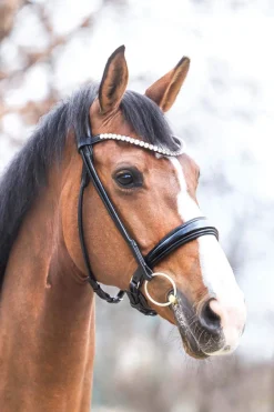 Hot Florina KavalSH4 Bridle Pony Bridles & Halters|Bridles & Nosebands